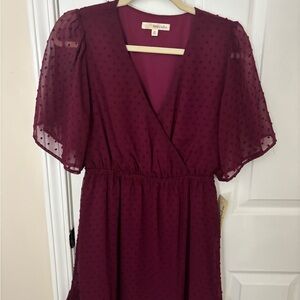 Rewind Maroon Textured Dress